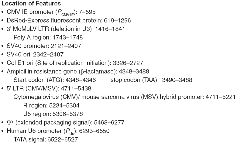 RNAi-Ready pSIREN-RetroQ载体特征